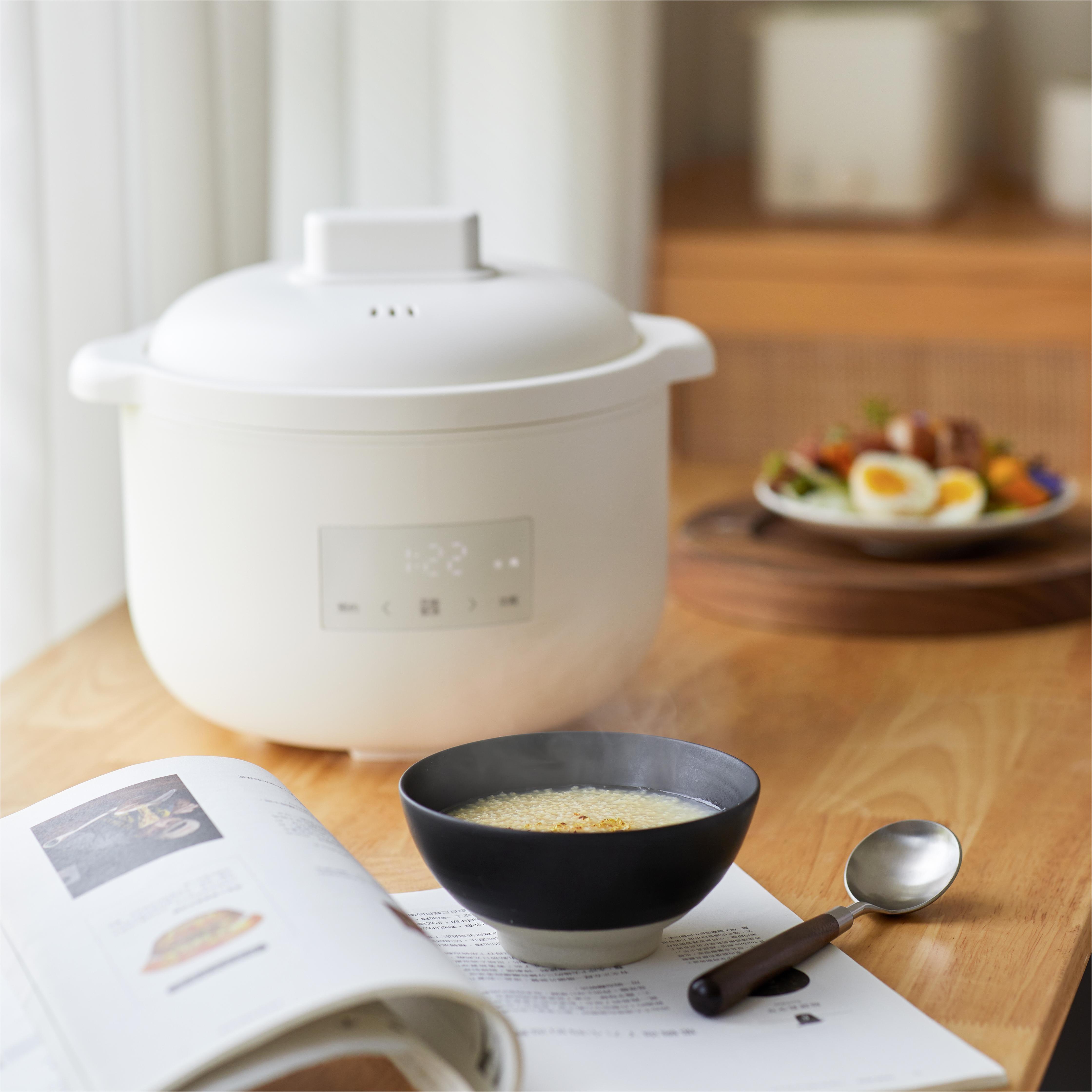 Factory Hot Sale 2.5L Electric Ceramic Cooker Slow Stew Cooker Automatic Multi Health Mini Slow Cooke