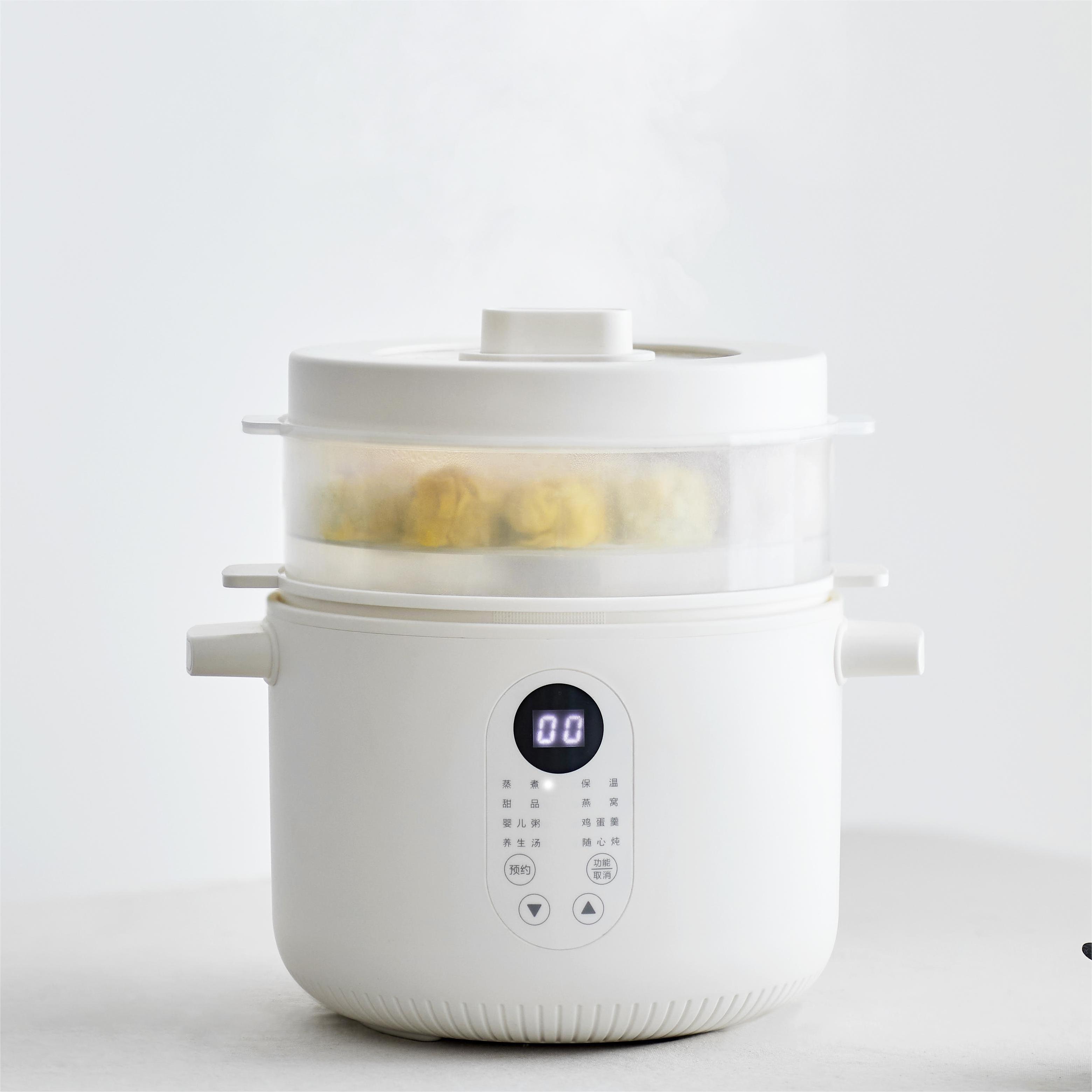 New Design Round Electric Slow Cooker Stew pot with Removable 2.5L Ceramic Pot and Steamer