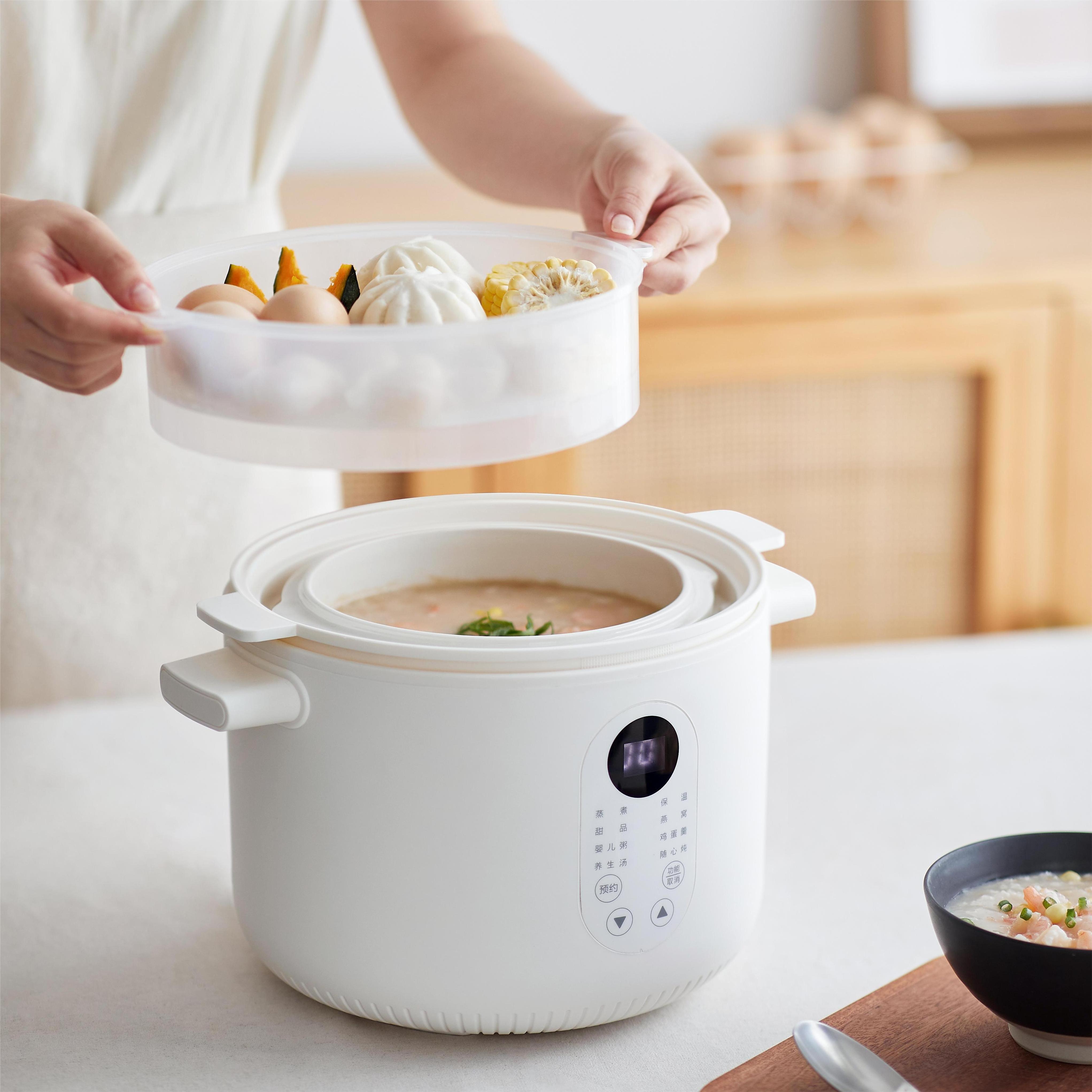 New Design Round Electric Slow Cooker Stew pot with Removable 2.5L Ceramic Pot and Steamer