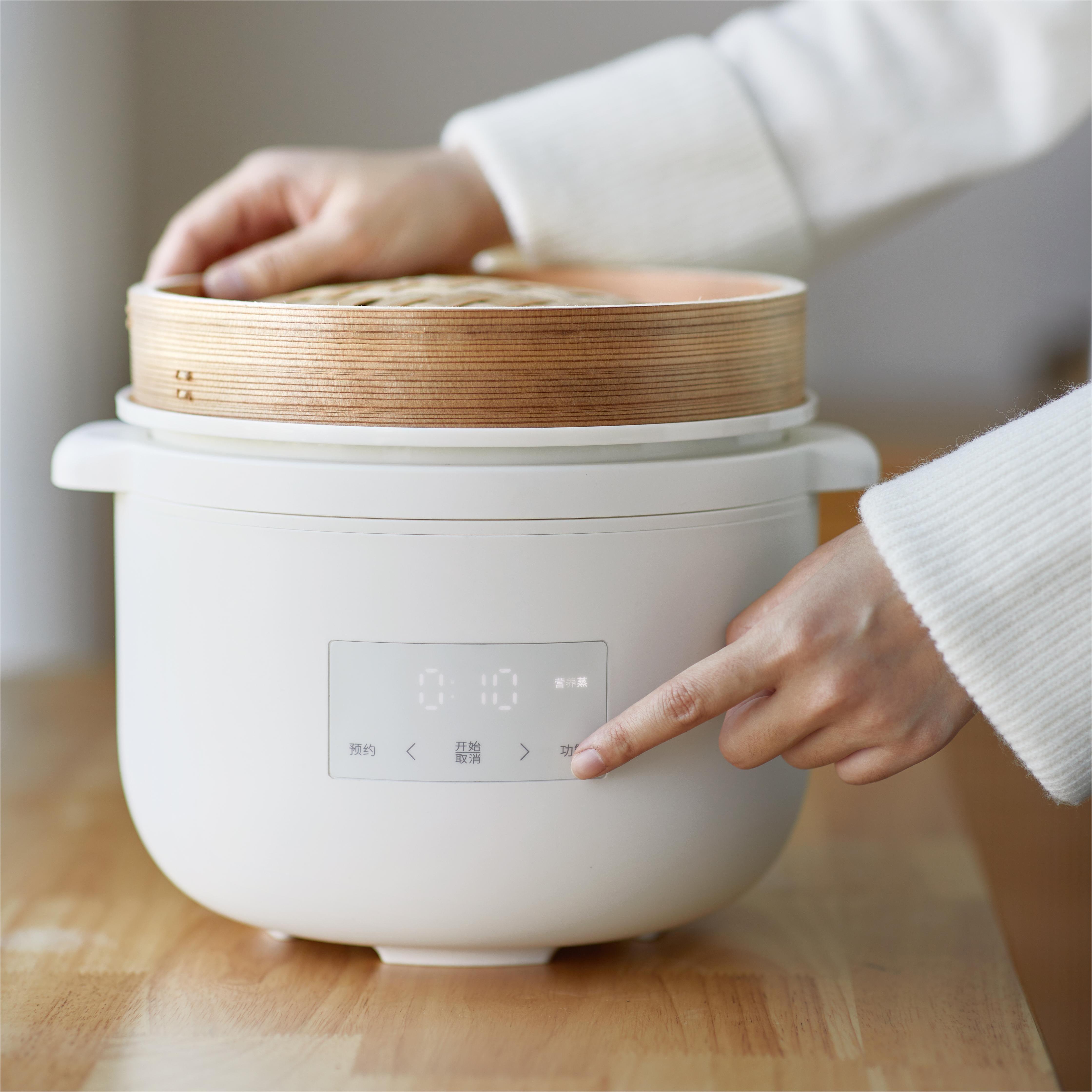 New Household Appliances Supplements Rice Soup Cooking Ceramic Electric Crock Pot Slow Cooker with Bamboo Steamer