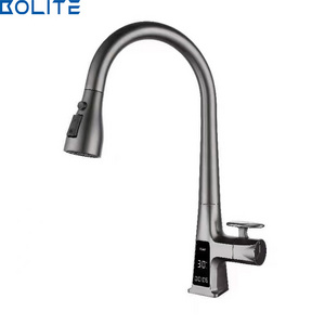 Manufacturer Customized New Design Pull Out Brass Cold And Hot Digital Display Kitchen Sink Faucet