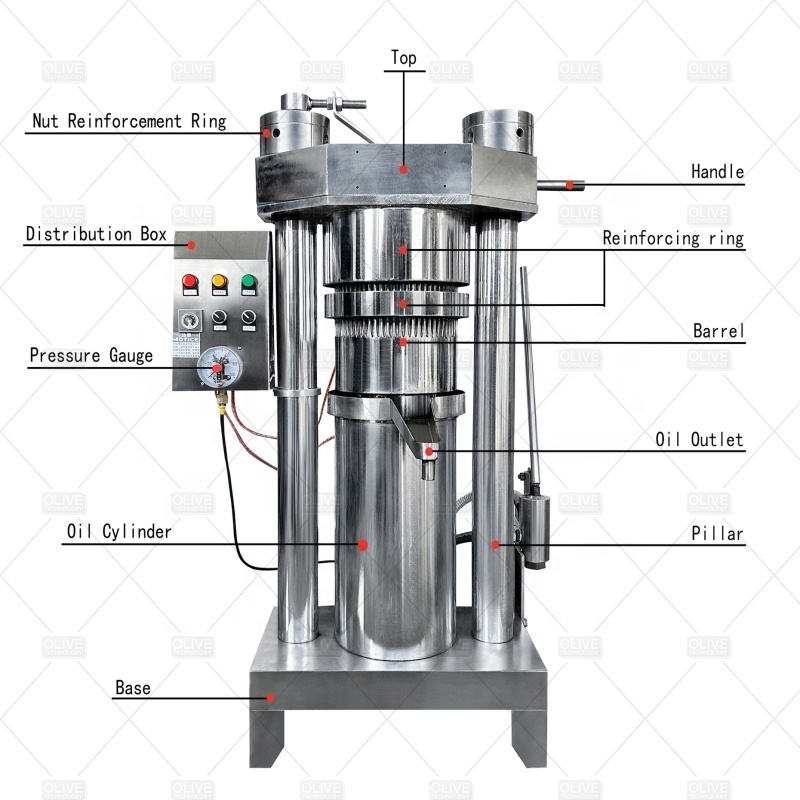 1500kg/H Extra Virgin Olive Oil Cold Press Machine Canada Oil Press Home Olive Oil Press Machine