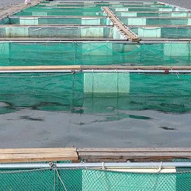 Best Quality New Plastic Farm Small Fish Sea Cucumber Breeding Mesh Aquaculture Netting