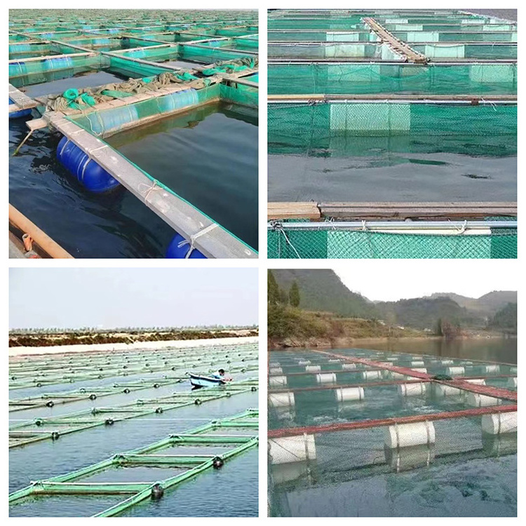 Wholesale PE HDPE Sea Cucumber Shrimp Salmon Scallop Tilapia Aquaculture plastic mesh Breeding Nets for fish