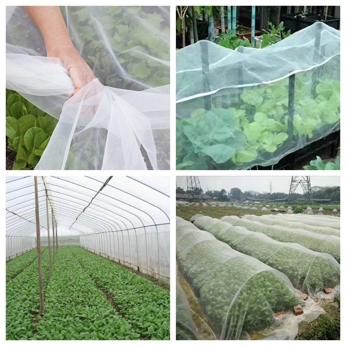 Wholesale HDPE UV resistant 40 mesh 50mesh Insect net for greenhouse vegetables fruit protection