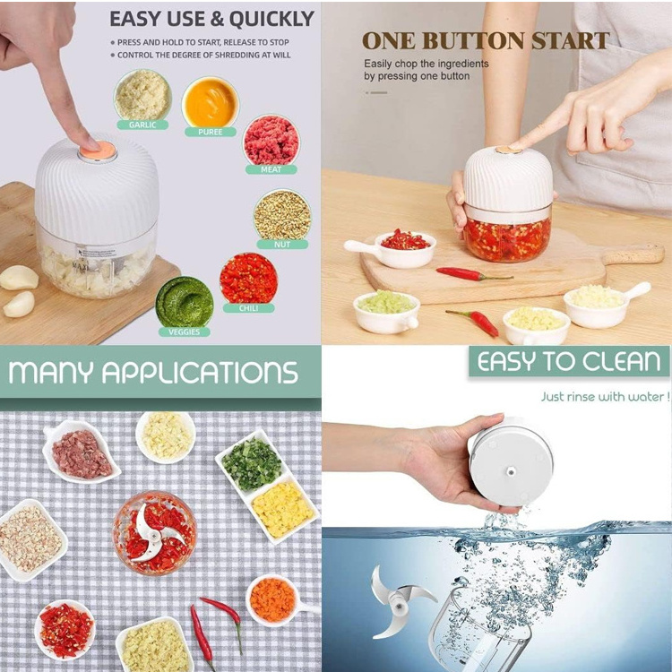 Wholesales Hot Selling Home Appliance National Multifunction Electric Blender 250ML mini food chopper USB Rechargeable