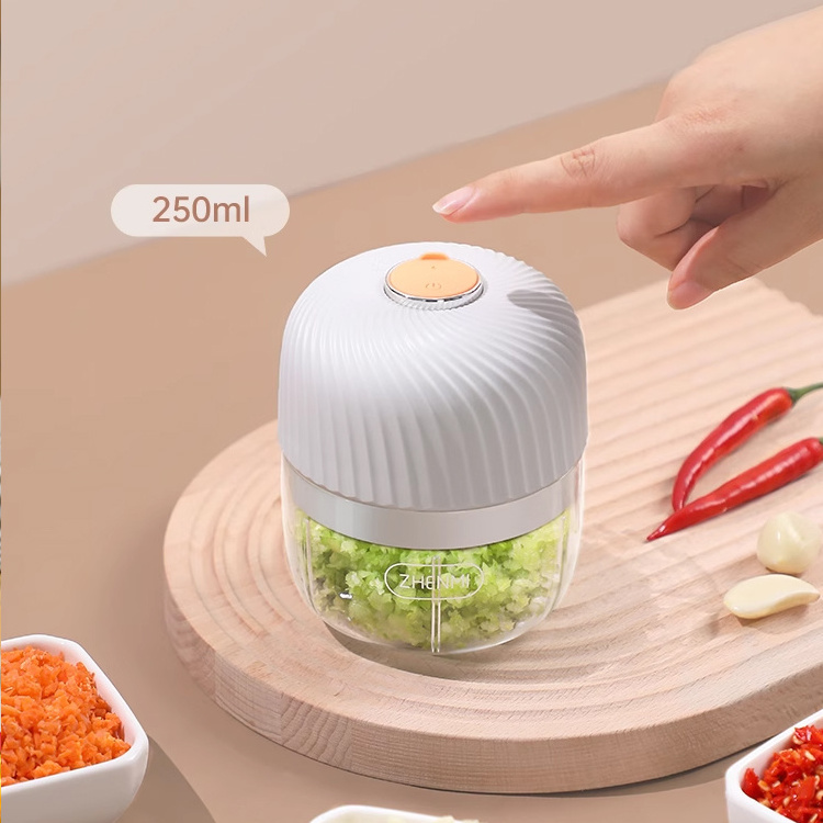 Wholesales Hot Selling Home Appliance National Multifunction Electric Blender 250ML mini food chopper USB Rechargeable