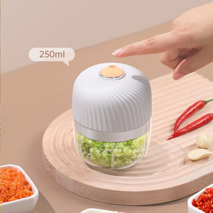 Wholesales Hot Selling Home Appliance National Multifunction Electric Blender 250ML mini food chopper USB Rechargeable