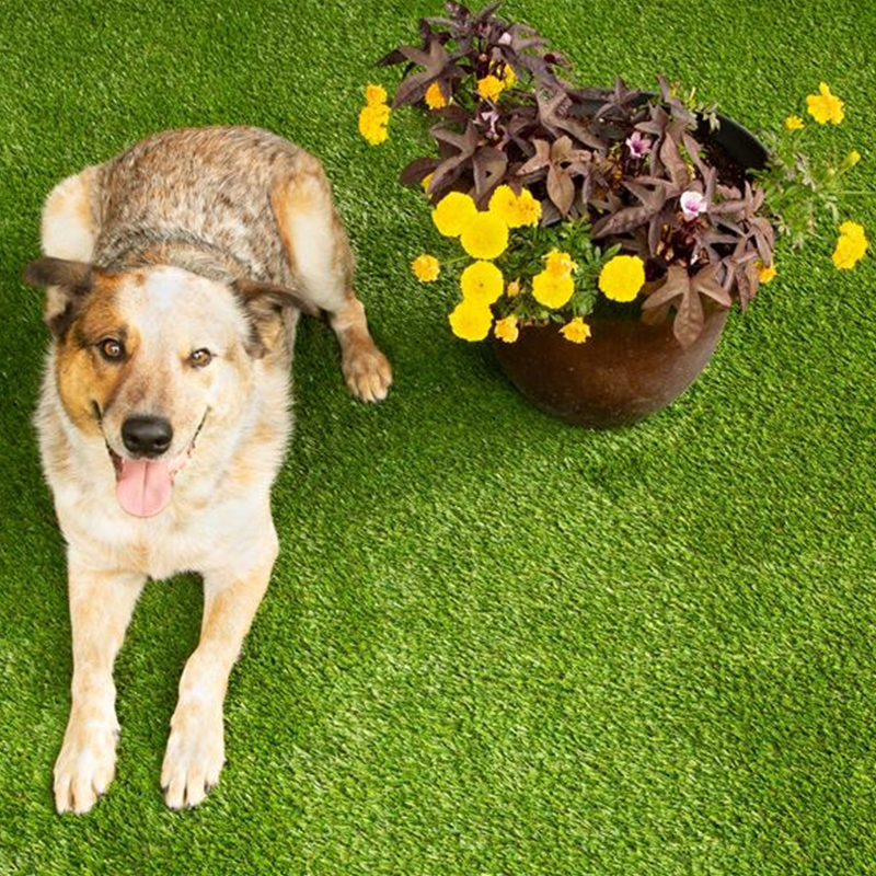 Factory price pet friendly outdoor playground green grass carpet artificial grass for pets high quality