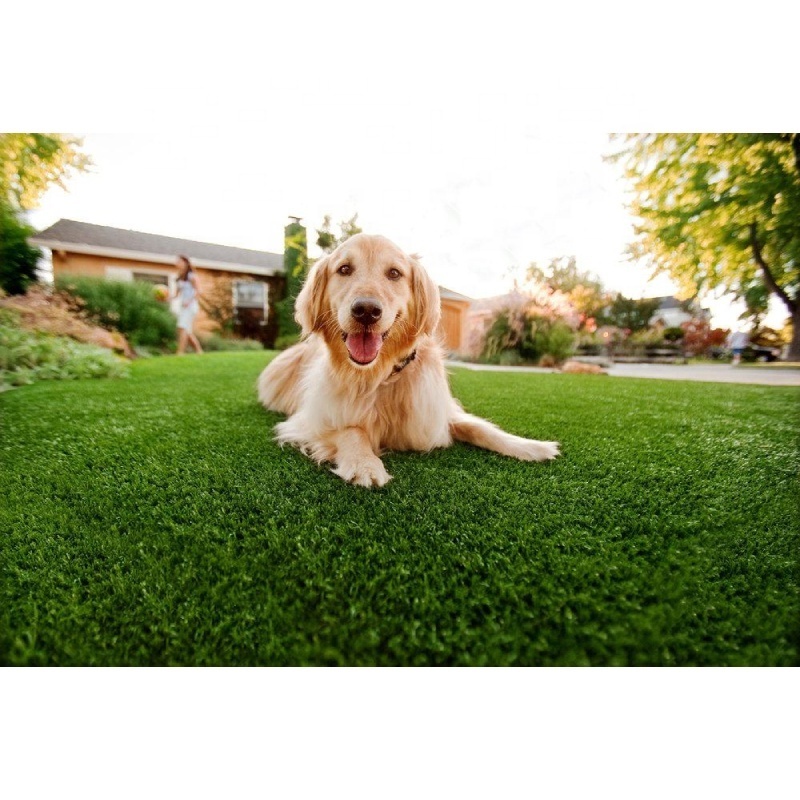 High quality UV resistance outdoor external animals pet carpet artificial turf artificial grass