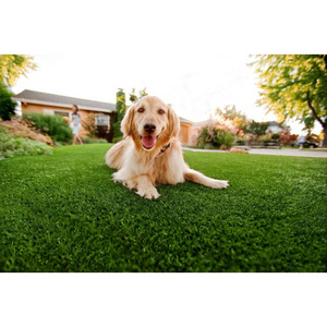 Factory price outdoor pet carpet artificial turf artificial grass for dogs