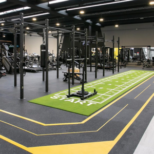 Non-Filled White Color Indoor Artificial Grass&Sports Flooring Turf Artificial Grass Turf for Gym Fitness Flooring