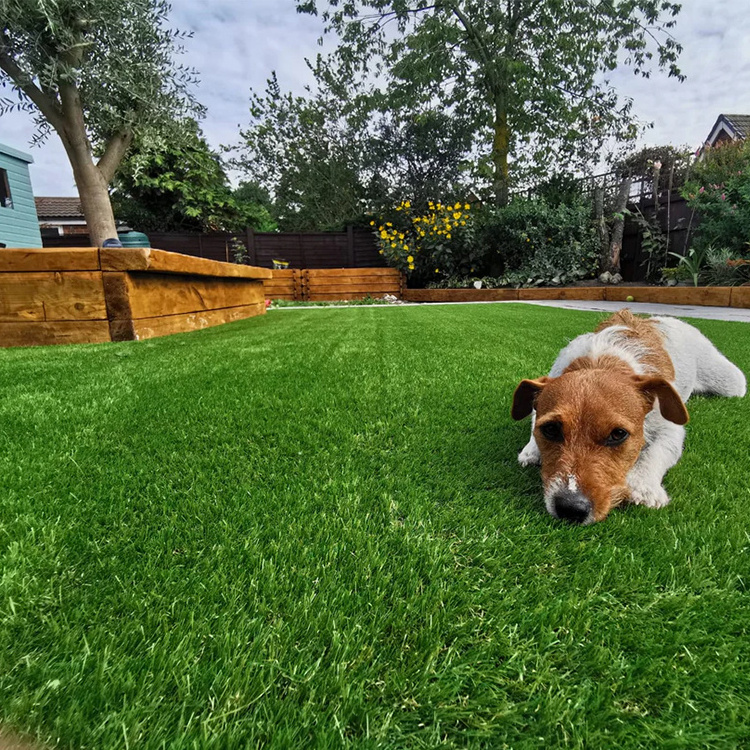 Factory price pet friendly outdoor playground green grass carpet artificial grass for pets high quality