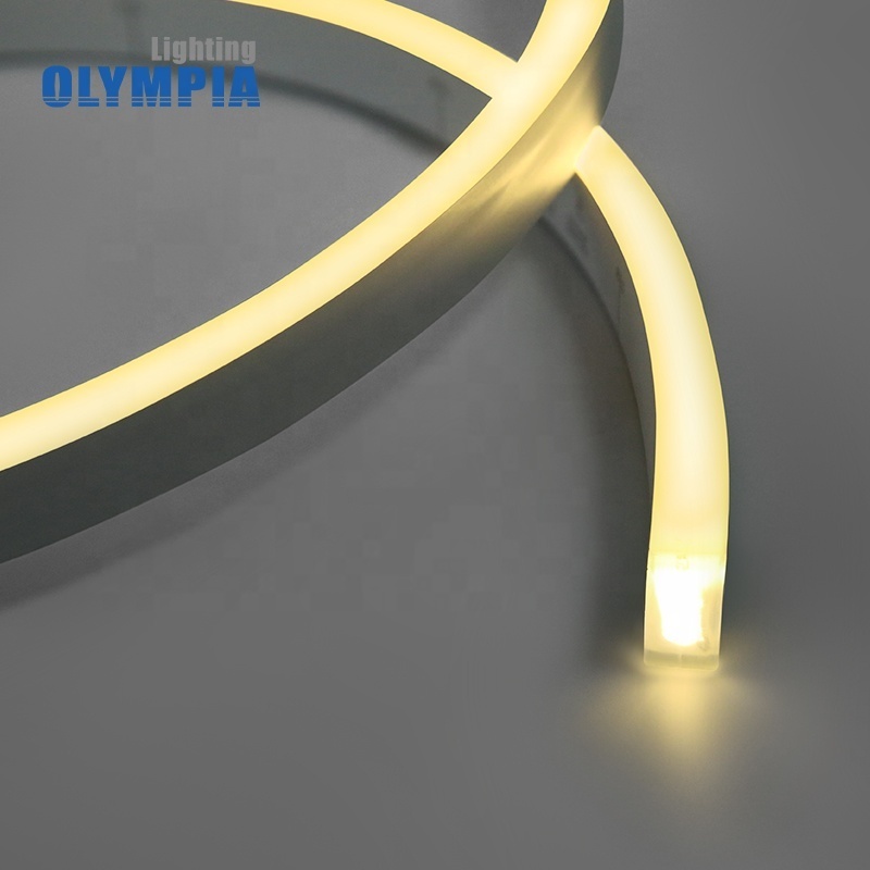 Silicone/PVC 5050 LED Neon Flex for Pool Architectural Lighting IP68 Mono LED Strip Rope Light 2200K-6500K 12V 24V Neon Lights