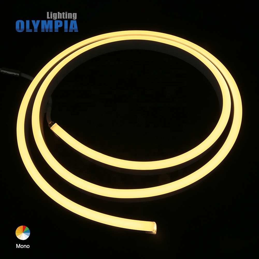 Silicone/PVC 5050 LED Neon Flex for Pool Architectural Lighting IP68 Mono LED Strip Rope Light 2200K-6500K 12V 24V Neon Lights