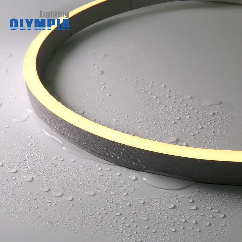 Silicone/PVC 5050 LED Neon Flex for Pool Architectural Lighting IP68 Mono LED Strip Rope Light 2200K-6500K 12V 24V Neon Lights