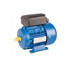 2800Rpm Single Phase 120V 220V 500 Watt1.1Kw 2.2Kw 3Kw 1.5 Kw 1/4 1/2 1 1.5 2 Hp 1.5Hp 2Hp 3Hp Ac Electric motor