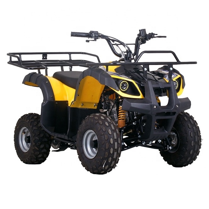 Gas Powered 50cc 110cc Automatic Mini 4 Wheeler For Kids