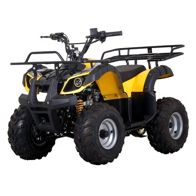 Gas Powered 50cc 110cc Automatic Mini 4 Wheeler For Kids