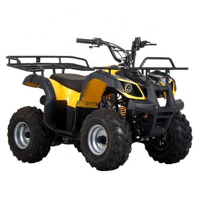 Gas Powered 50cc 110cc Automatic Mini 4 Wheeler For Kids