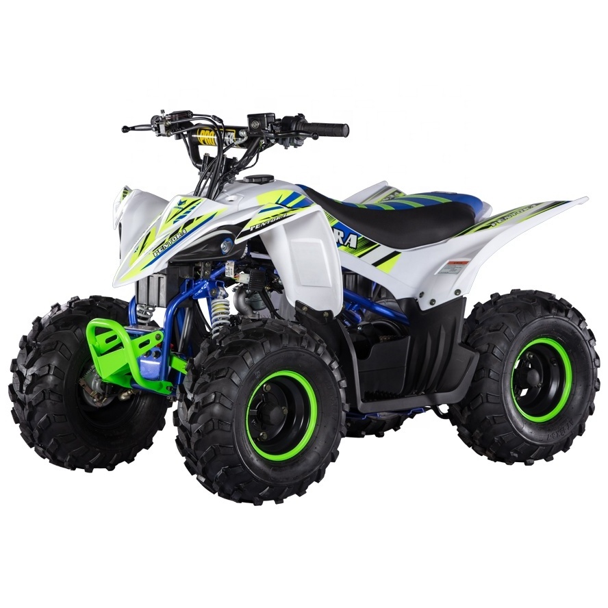 2020 New Pentora 110cc Mini Quad For Kids