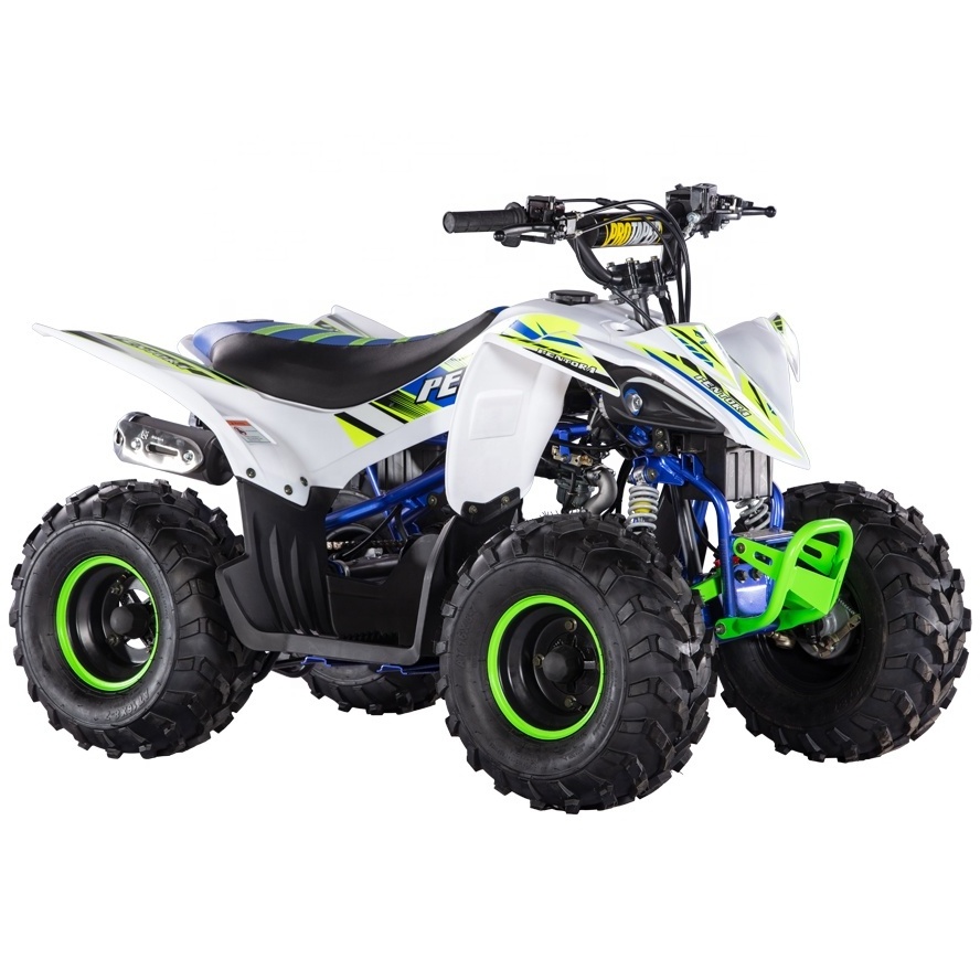 2020 New Pentora 110cc Mini Quad For Kids