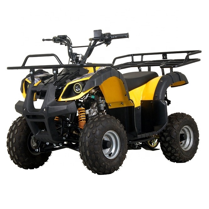 Gas Powered 50cc 110cc Automatic Mini 4 Wheeler For Kids