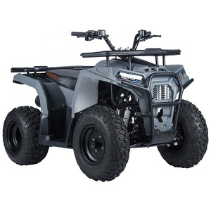 Top Performance New Design Powerful Automatic ATV Quad 110cc 125cc 150cc