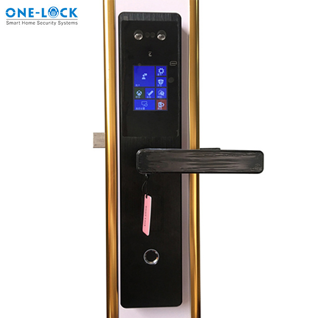 Face scanning smart lock grill door biometric safe door lock with Tuya zigbee app