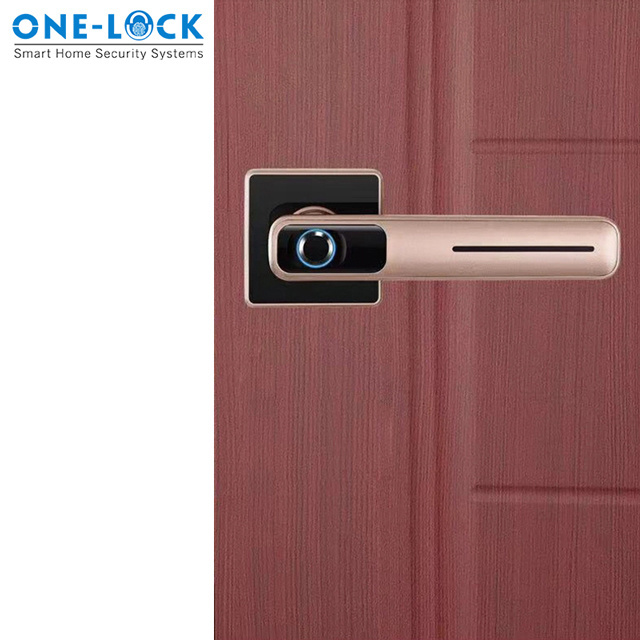 Indoor Deadbolt Electric Automated Door Lock Remote Control Digital fingerprint Smart Lock