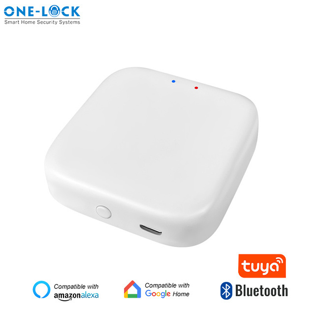 Smart Wifi BLE APP Gateway for Tuya APP connect with 2.4G Wi-fi