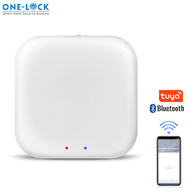 Smart Wifi BLE APP Gateway for Tuya APP connect with 2.4G Wi-fi