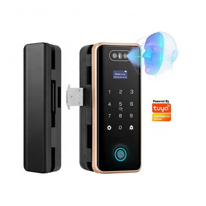 Fingerprint and USB Support Sliding Glass Door Digital Lock Smart tuya face 3d door lock