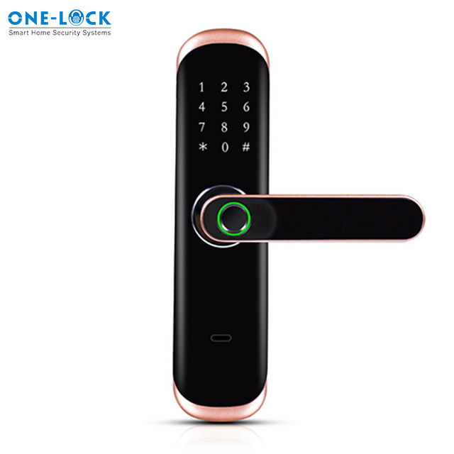 2021 sells courtyard gate double sided fingerprint door lock electronic smart lock for grille door