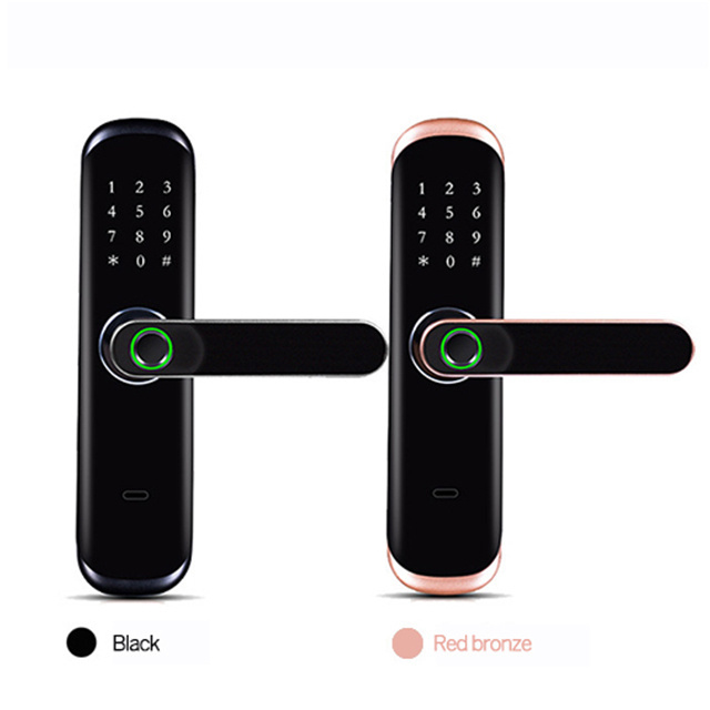 2021 sells courtyard gate double sided fingerprint door lock electronic smart lock for grille door