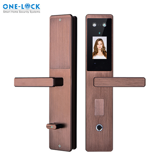 Face scanning smart lock grill door biometric safe door lock with Tuya zigbee app