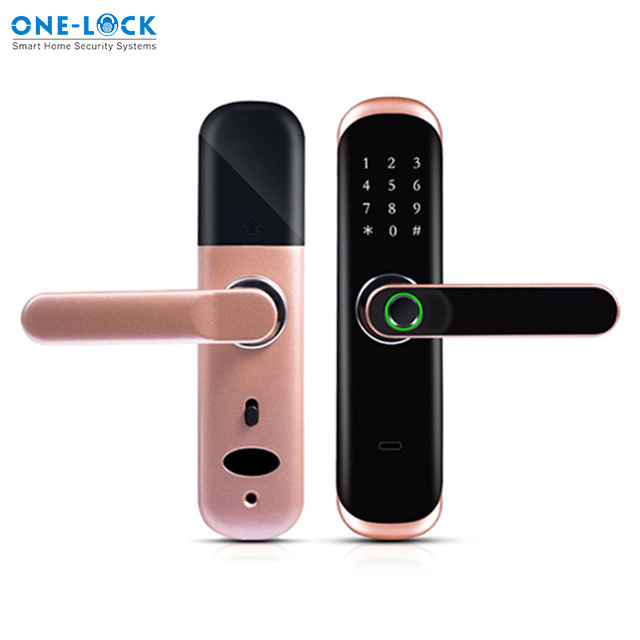 2021 sells courtyard gate double sided fingerprint door lock electronic smart lock for grille door