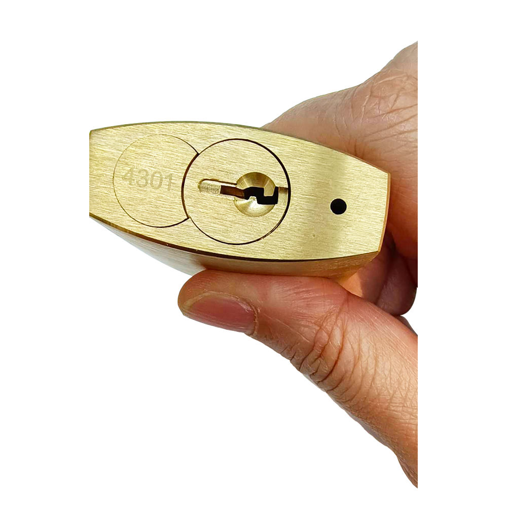 ONELUS	8-shaped replaceable copper padlock from Padlock series