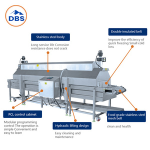 Individual Best Price Quick Freezing Small IQF Machine For Shrimp Vegetable Fruit Liquid Nitrogen Tunnel Freezer