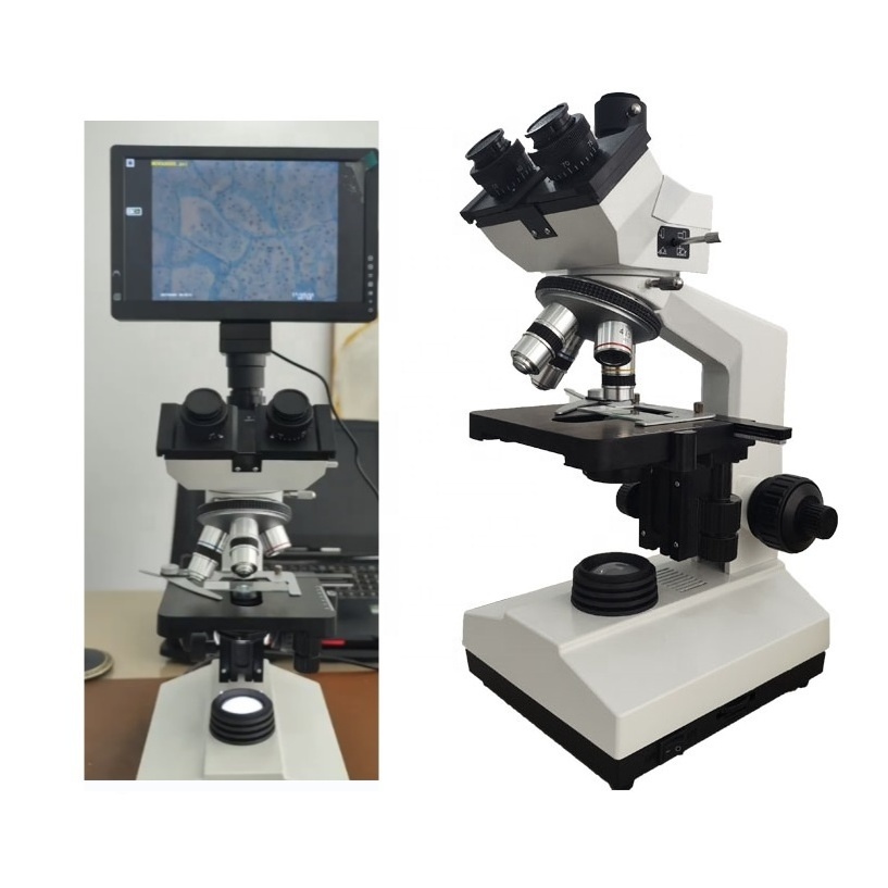 MS110 EASY LAB Scientific Biological trinocular scanning electron microscope surgical equipment