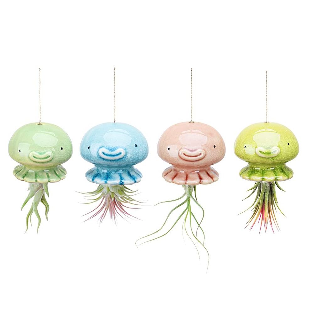 Small Air Plant Holder Unique Cute Octopus Pufferfish Squid Jellyfish Air Plant Hanger Wall Planter