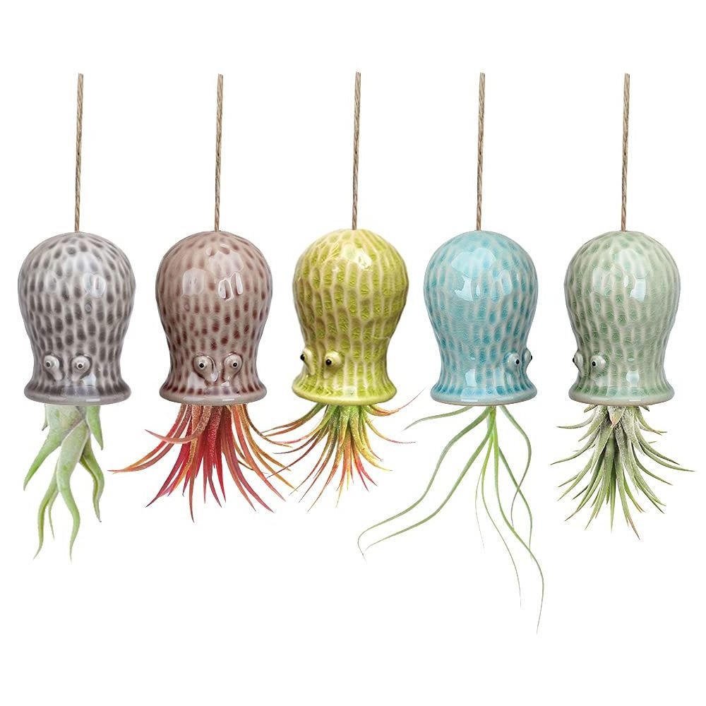 Small Air Plant Holder Unique Cute Octopus Pufferfish Squid Jellyfish Air Plant Hanger Wall Planter