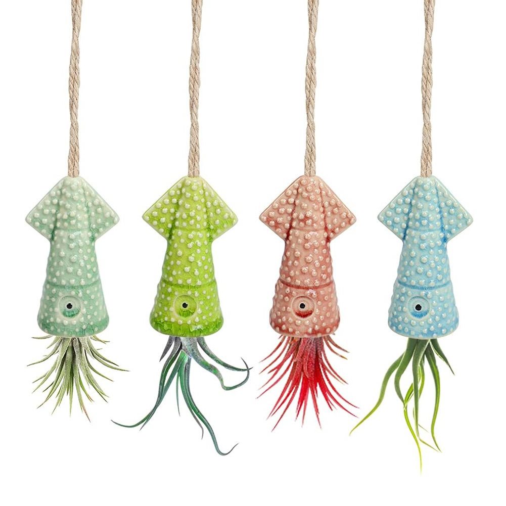 Small Air Plant Holder Unique Cute Octopus Pufferfish Squid Jellyfish Air Plant Hanger Wall Planter