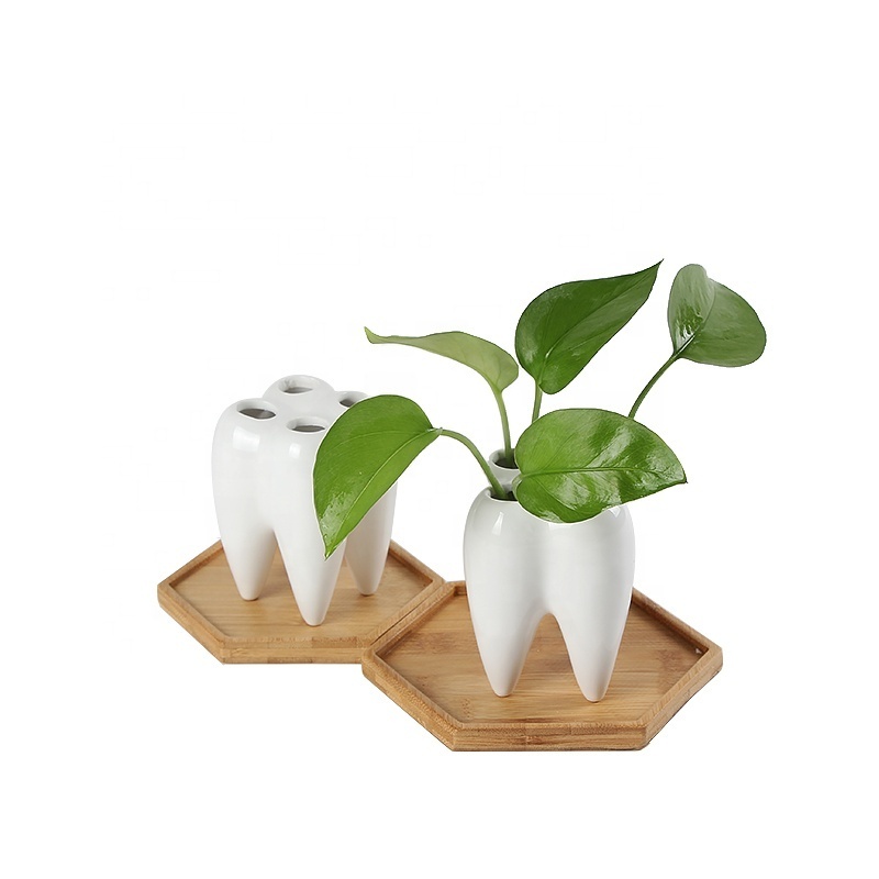 mini Succulent Pots Cute Cactus Plant Container Tooth Ceramic Planter for Home Decor Creative Pen/Toothbrush Holder