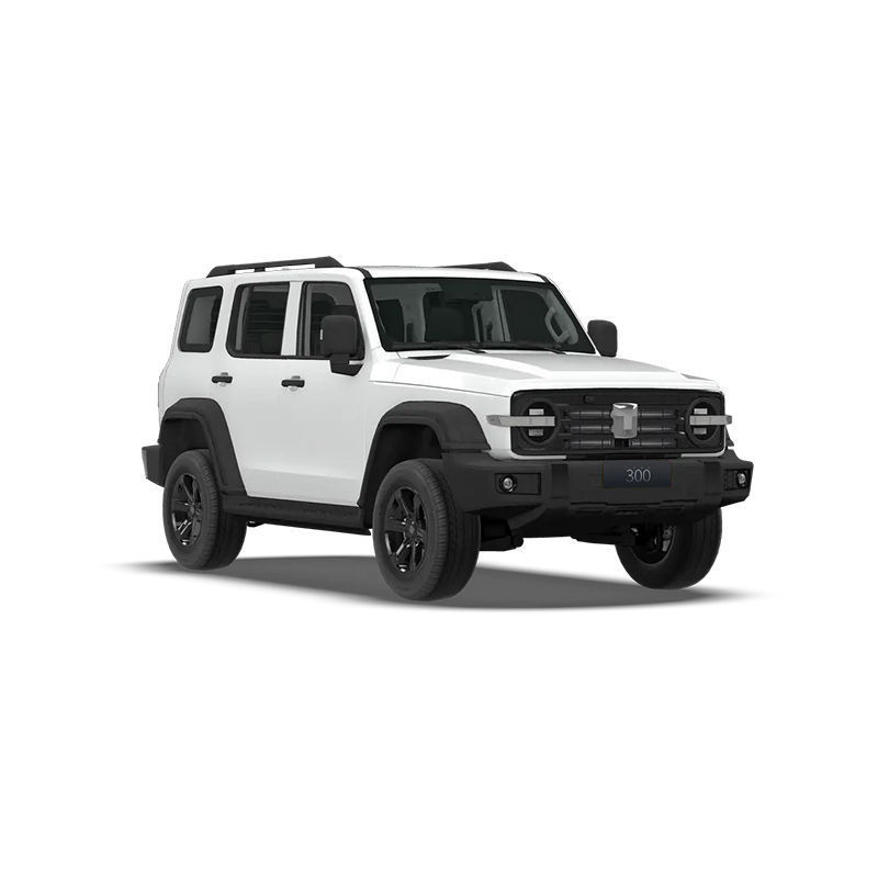 best car price china car tank 300 off road suv