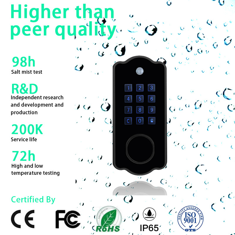 Automatic Smart Deadbolt Door Lock Biometric Fingerprint Security Smart Lock for Wooden Door Black Wood Door Cloud CE FCC ROHS