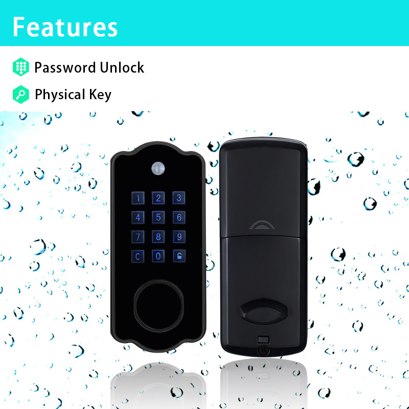 Automatic Smart Deadbolt Door Lock Biometric Fingerprint Security Smart Lock for Wooden Door Black Wood Door Cloud CE FCC ROHS