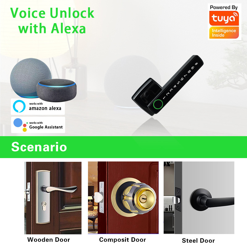 Smart Phone Biometric Fingerprint Key Electronics Password Bedroom Home Wood TUYA Door Lock