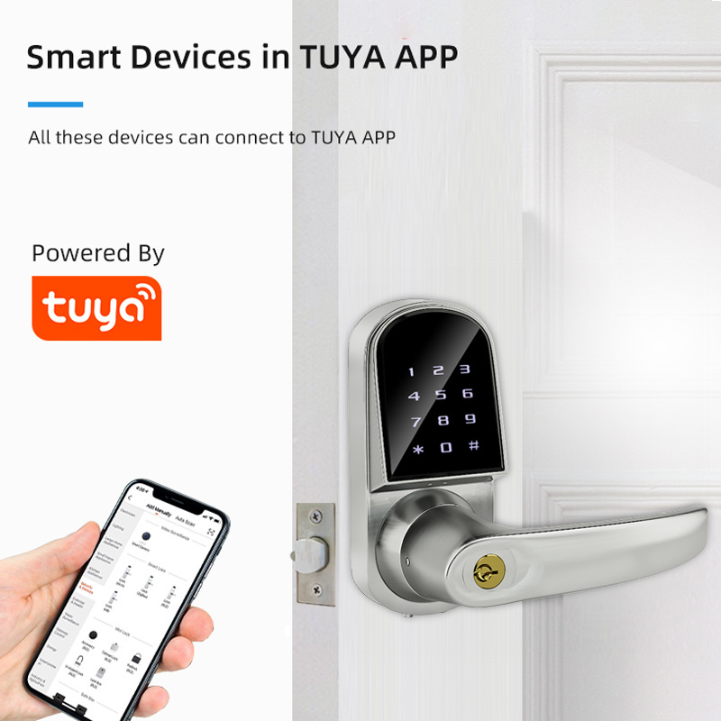 ONLENSE Smart Home Digital TUYA Wi-Fi Door Handle Lock Smart  Door Knob Lock