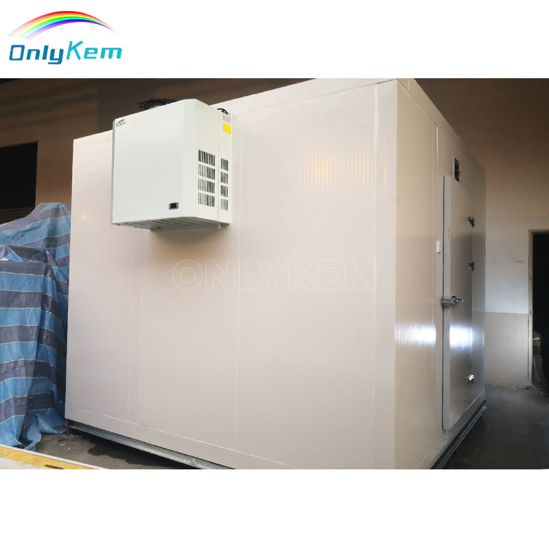 Industrial Walk in Freezer Refrigerator Storage Modular Cold Room